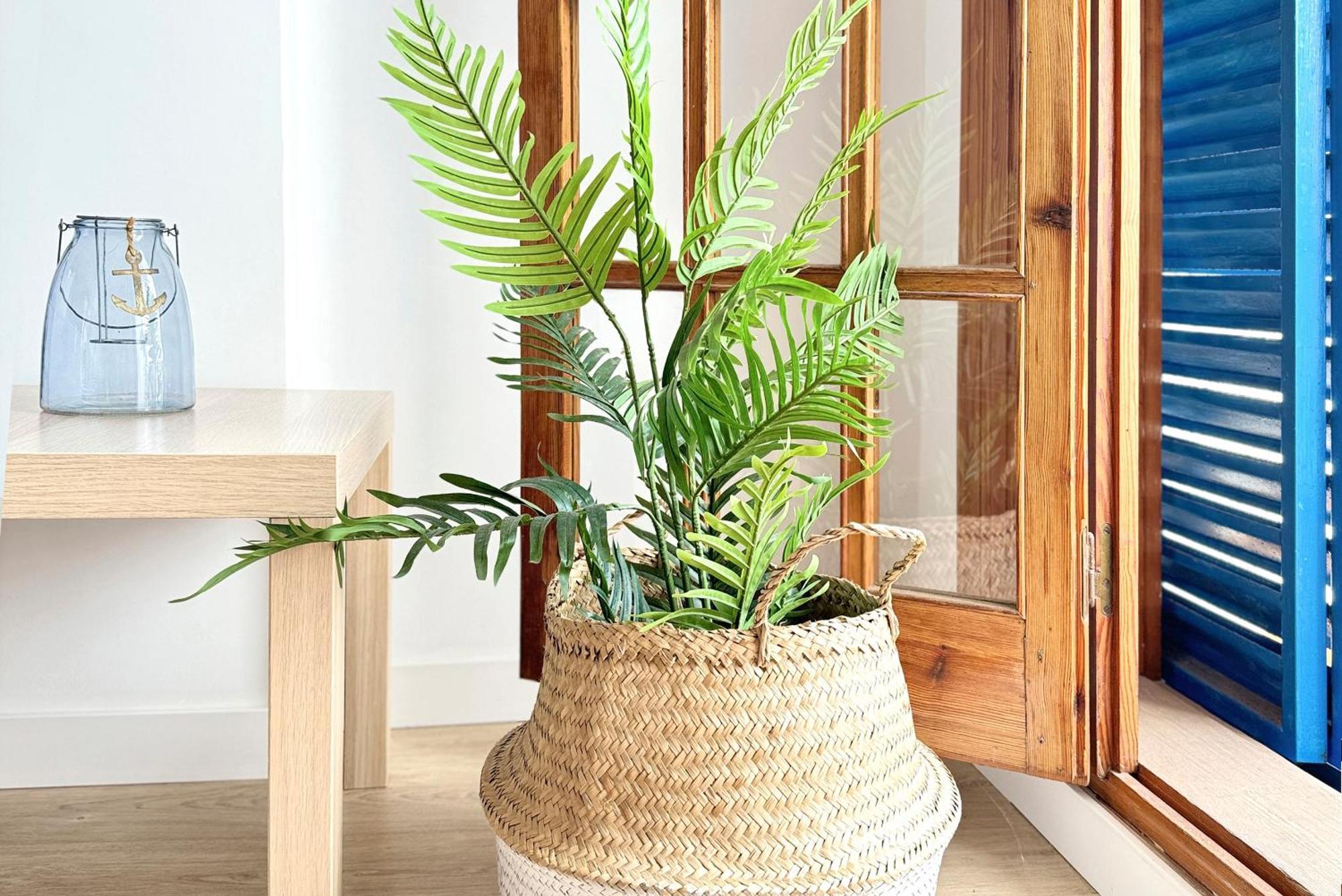 סן חוזה Apartamentos Vela Blanca מראה חיצוני תמונה